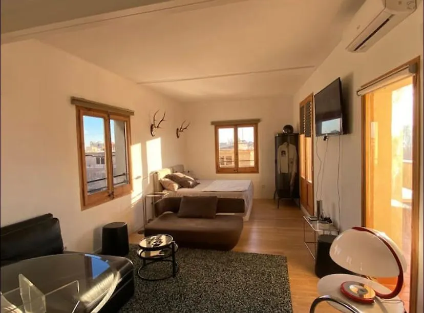 Penthouse With Private Terrace Apartment Barcelona 0*,  Spain