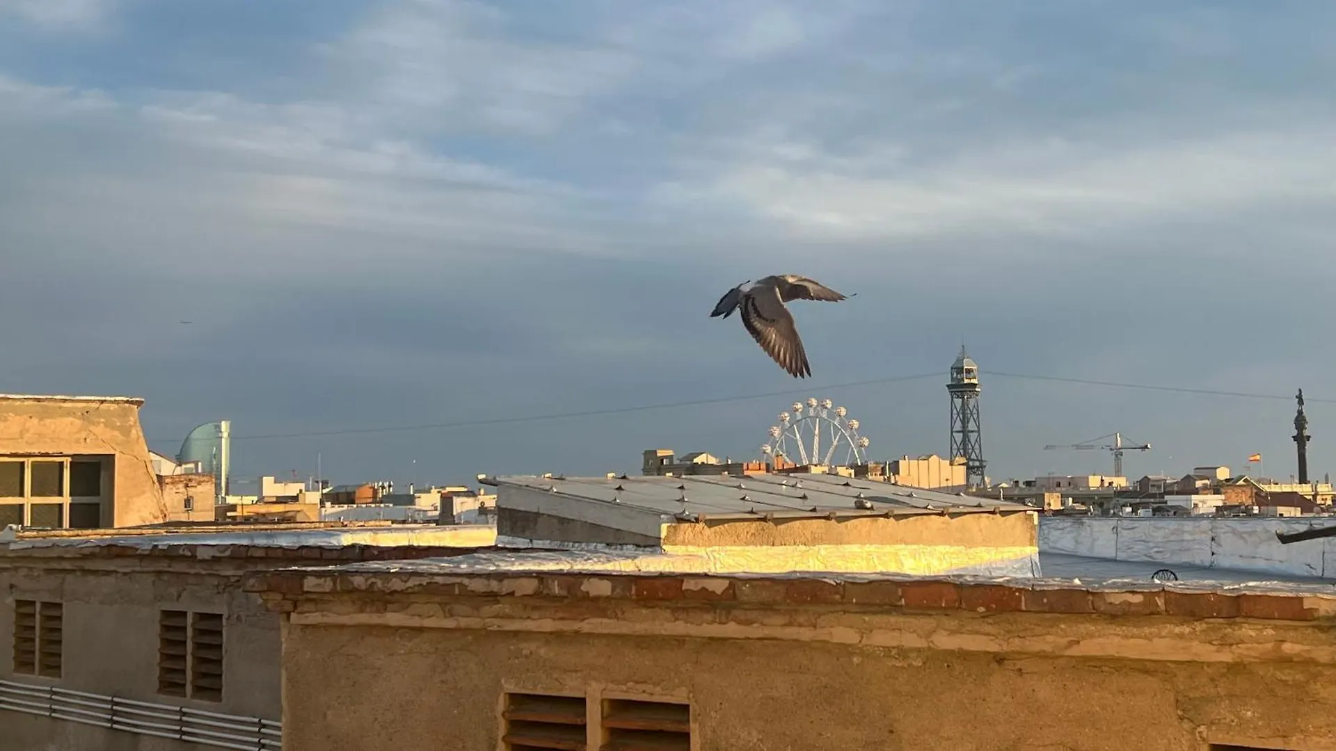 Penthouse With Private Terrace Apartment Barcelona Spain